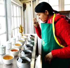 Tea Tasting Experience Darjeeling and Kurseong
