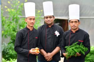 Allita Resorts and Hotels Chef's Organic Garden